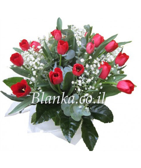 Order red tulips delivery in Israel